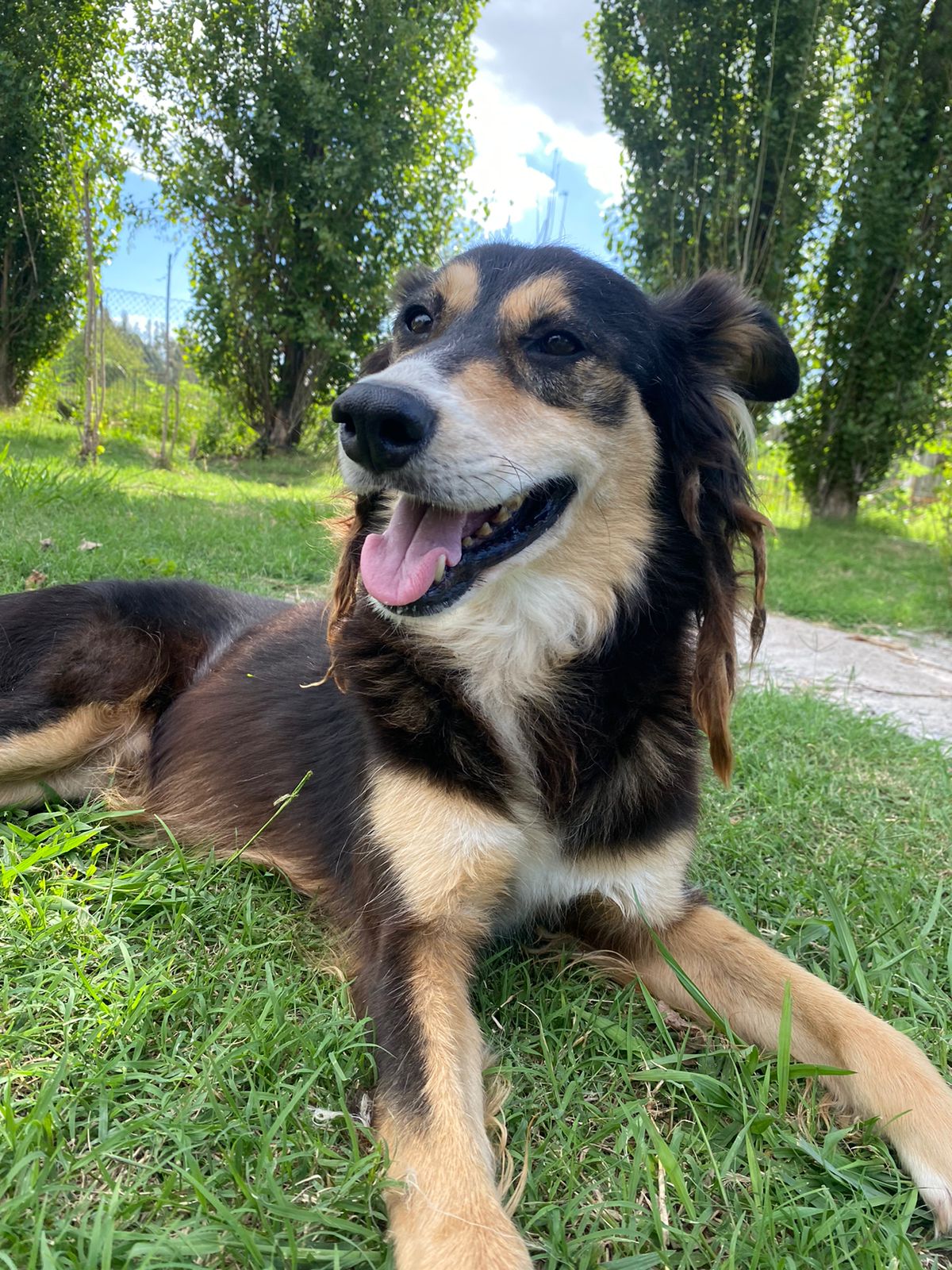 Charly